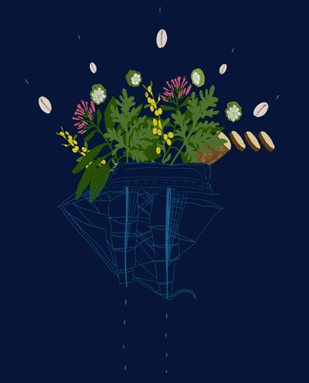 Desarmar un aparato técnico colonial